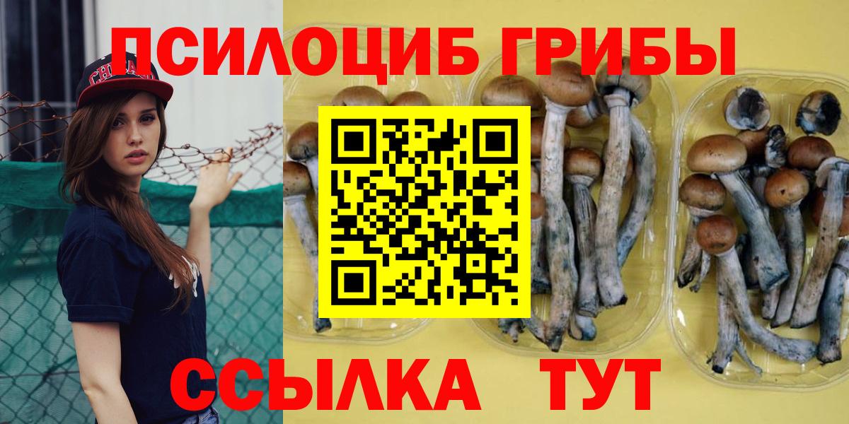 Прокопьевск  Псилоцибиновые грибы GOLDEN TEACHER  Вход с VPN 